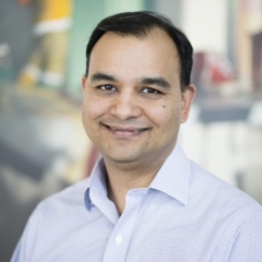 Gaurav Vashist